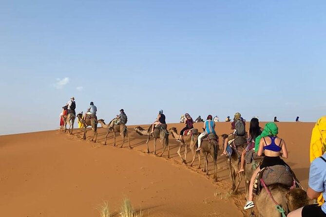 4 Days Desert Tour From Marrakech to Fes via Merzouga Dunes - Day four: Ziz Valley, cedar forests, and arrival in Fes