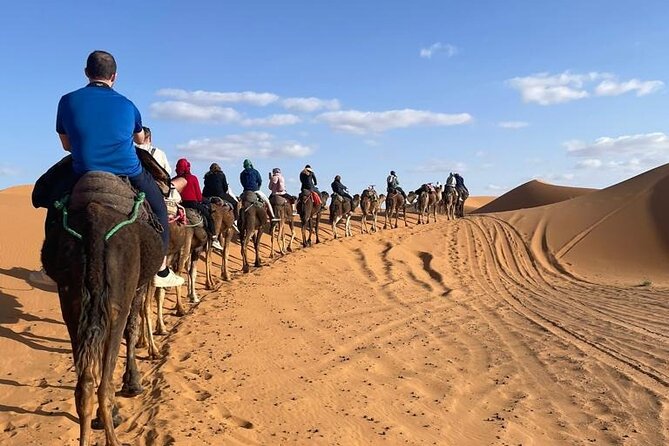 4 Days Desert Tour From Marrakech to Fes via Merzouga Dunes - Who should book this Sahara route