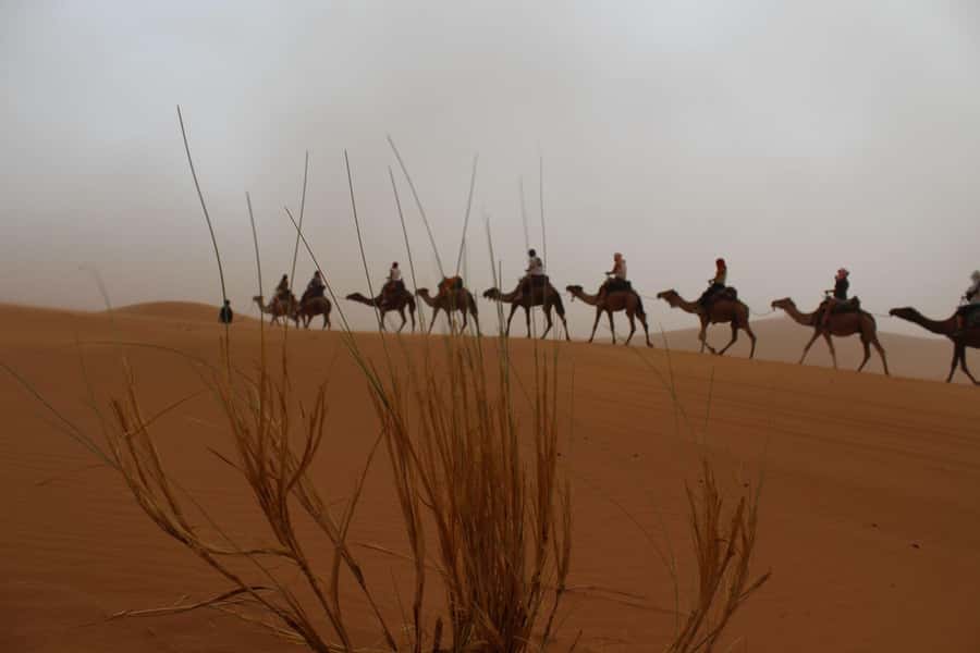 4 days Sahara Desert Tour From Marrakech To Merzouga dunes - Day 1: Marrakech to Ait Ben Haddou and the Dades Valley