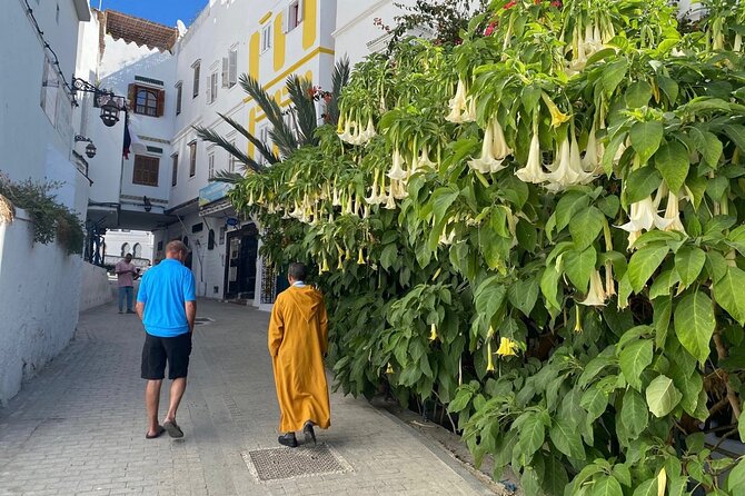 4 hour private Tour of Tangier - Place du 9 Avril and Tangier’s modern story