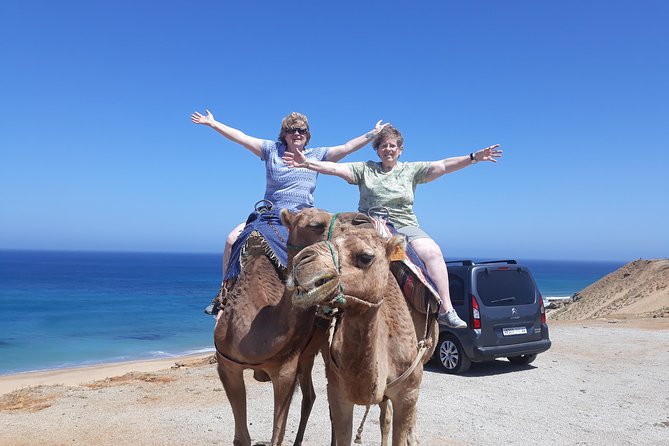 4 Hour Tangier City Private Tour - Jardin de la Mendoubia and the city’s public spaces