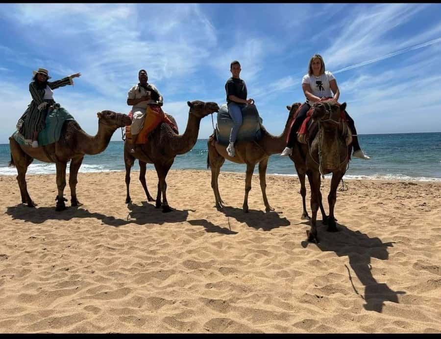 4 Hours Deluxe Guided Tour of Tangier + A tour with camels - The medina, souks, and everyday Tangier