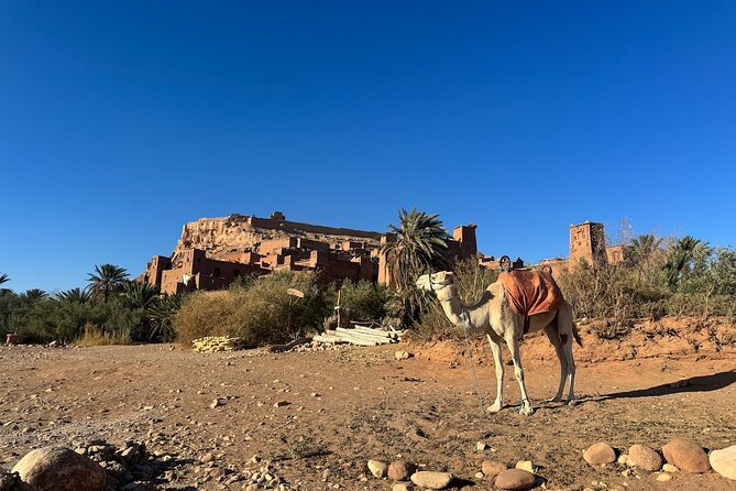 5-Day Private Tour to Sahara and ErgChebbi from Marrakech - Private transport, meals, and the real value of $743.03