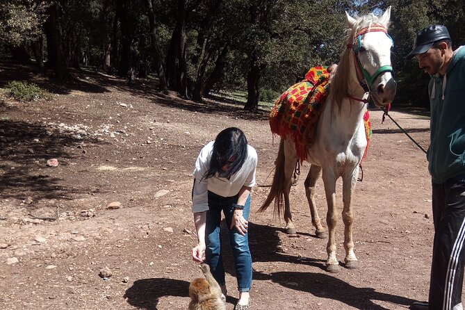 5 Days Private Tour from Casablanca to Fes and Sahara Desert - Day 5: Roses, kasbahs, Ouarzazate, and Ait Benhaddou