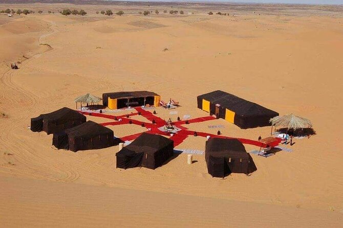 5 Days Private Tour from Casablanca to Fes and Sahara Desert - Should you book this Morocco tour?