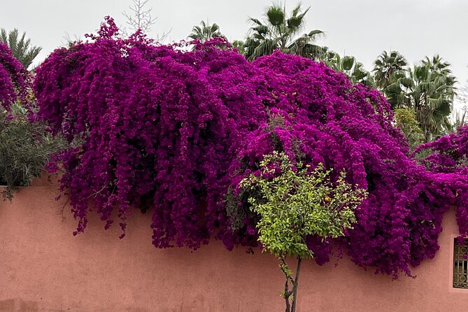 7 Days / 6 Nights Private Morocco Tour from Casablanca or Rabat - Rabat gives the trip a calm finish