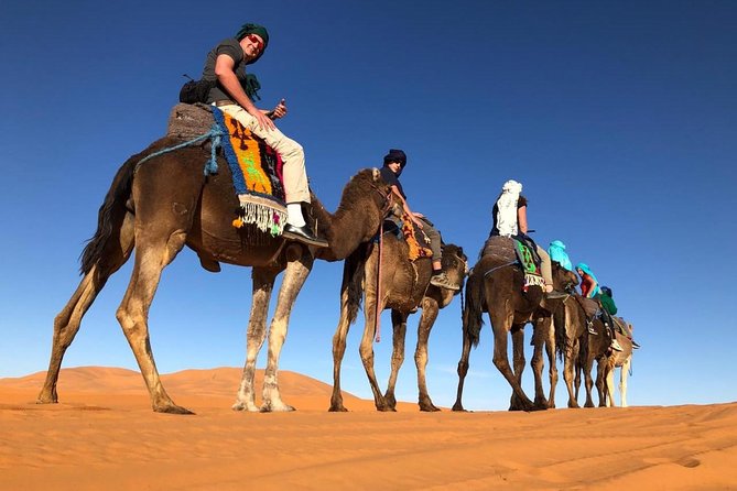 7-days: Casablanca to Chefchaouen then Fes and Sahara Desert - Camel Trekking - From Casablanca to the blue streets of Chefchaouen