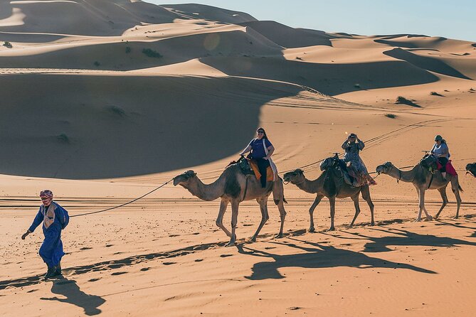 7 Days Luxury Desert Tour From Casablanca to Marrakech via fez -Camel trekking - Marrakech: Palaces, Tombs, Gardens, and Night Streets