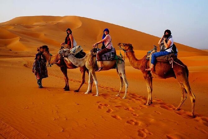 7 Days Luxury Desert Tour From Casablanca to Marrakech via fez -Camel trekking - The Pace, Vehicle, and Practical Fit