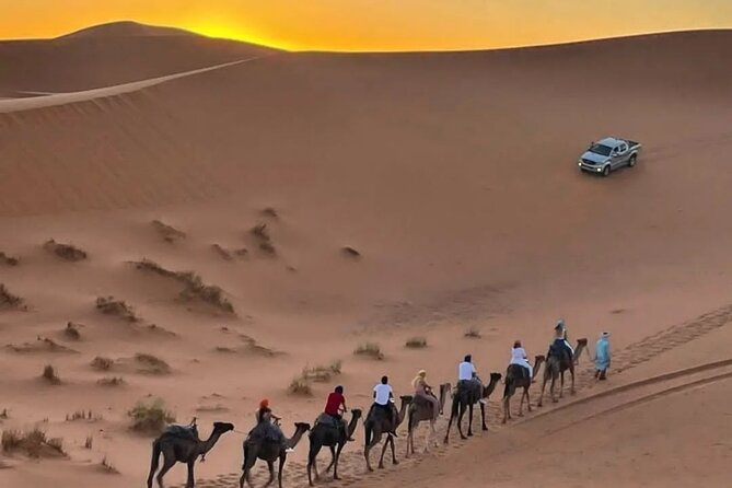 7 days Tour from Tangier to Marrakech Morocco Tours - Day 5: Rissani, Todra Gorge, and the Dades Valley