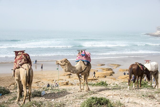 7 nights Surf Coaching Package in Morocco - Key points before you book