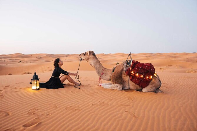 8 Days 7 Nights private tour Marrakech-Sahara Desert-Chefchaouen - Key Points To Know Before Booking