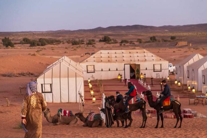 8 Days Morocco Private Tour; Imperial Cities and the Desert - Fes rewards a full day on foot