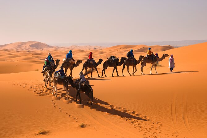 8D Morocco Luxury Private Tour From Casablanca By Imperial Cities - Volubilis, Moulay Idriss, and Meknes