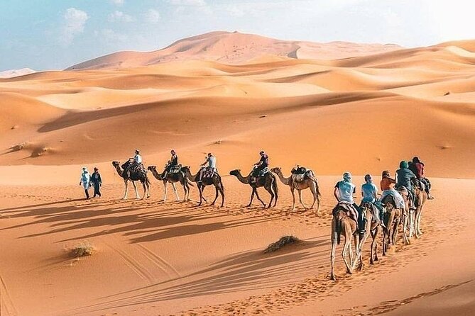 8D Morocco Luxury Private Tour From Casablanca By Imperial Cities - Fes el-Bali, tanneries, and a family dinner option