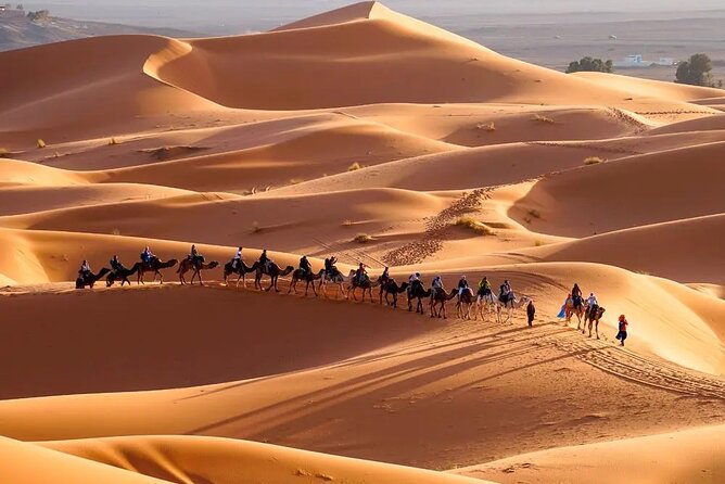 9 Days tour from casablanca to the desert via chefchauen , fez - Day 5: Ifrane, cedar forest, and the Sahara camp