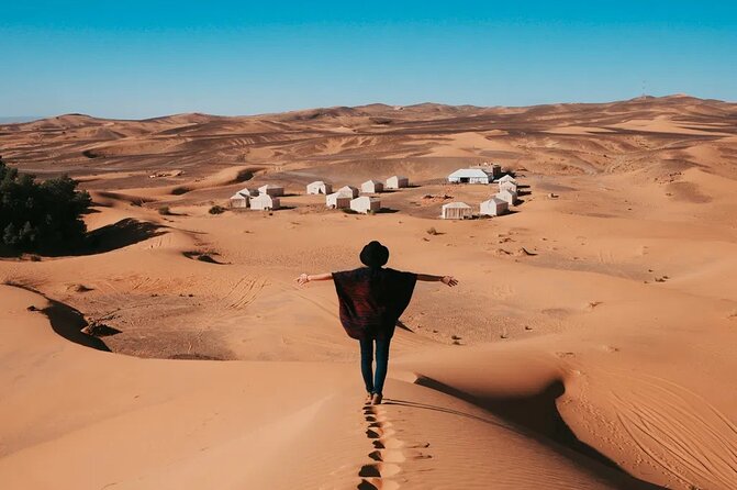 9 Days tour from casablanca to the desert via chefchauen , fez - Day 6: Fossils, Todra Gorge, and Dades Valley