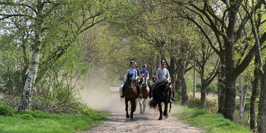 Agadir 2hours Horse Riding visite the flamingo river - Beach, forest, and golf-course views