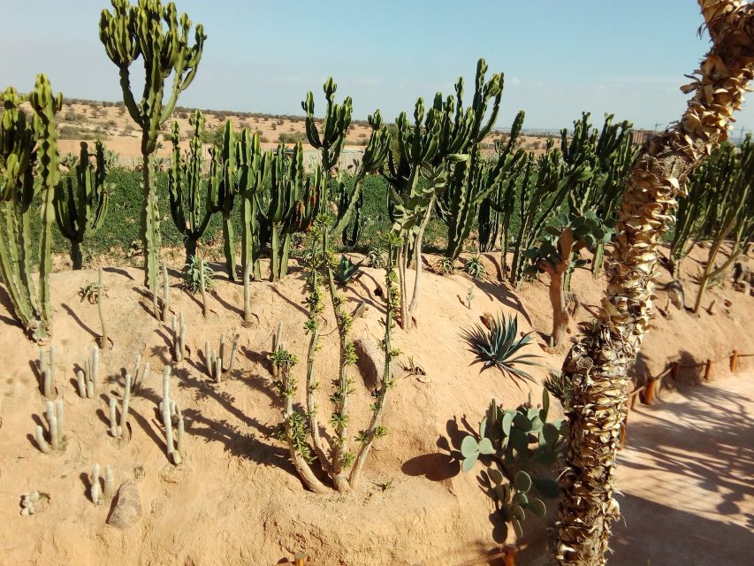 Agadir: Agadir Crocodile Park Adventure - Snakes, tortoises, iguanas, and smaller discoveries
