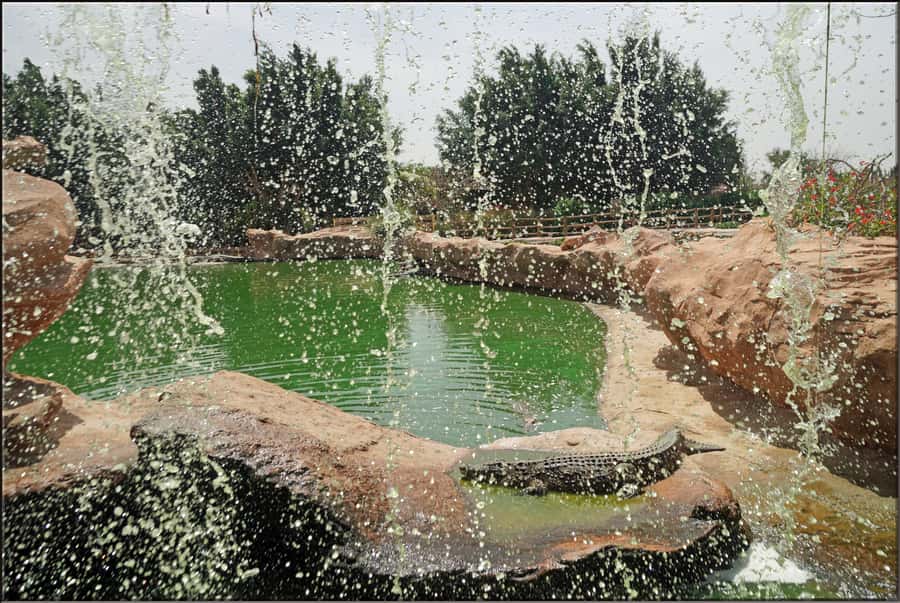 Agadir: Agadir Crocodile Park Adventure - Choosing the right amount of time