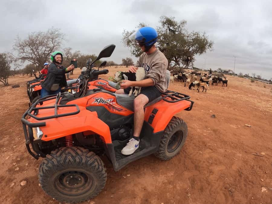 Agadir: Agafay Desert Quad Biking With Goats On The Tree - Key things to know before you book