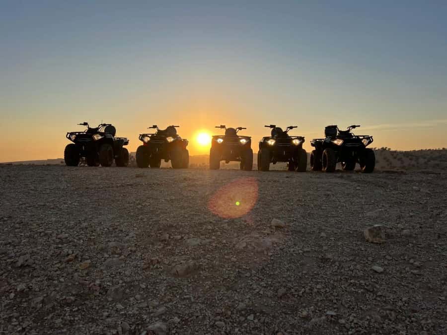Agadir: Agafay Desert Quad Biking With Goats On The Tree - Who will enjoy this Agadir quad tour