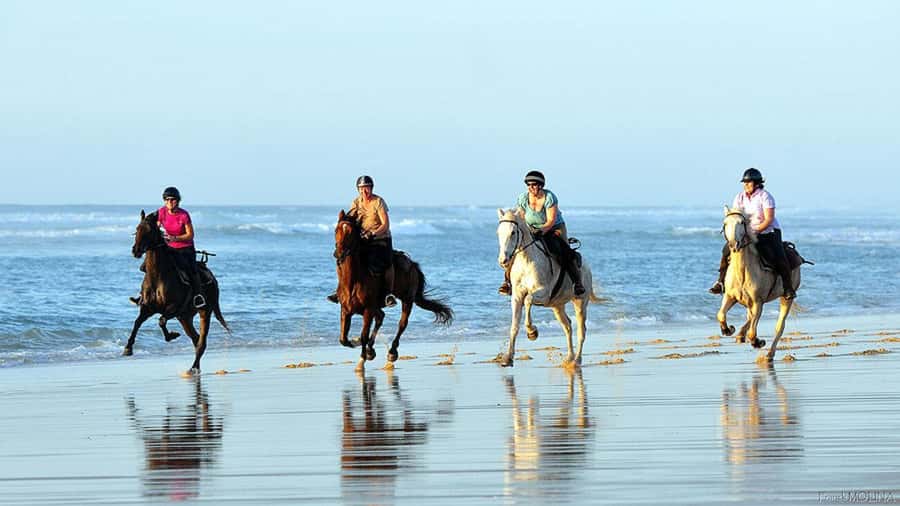 Agadir and Taghazout: 2-Hour Horseback Ride on the Beach - Key points at a glance
