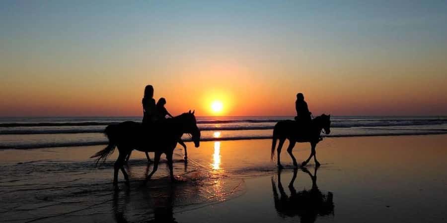 Agadir and Taghazout: 2-Hour Horseback Ride on the Beach - Who will enjoy this ride most?