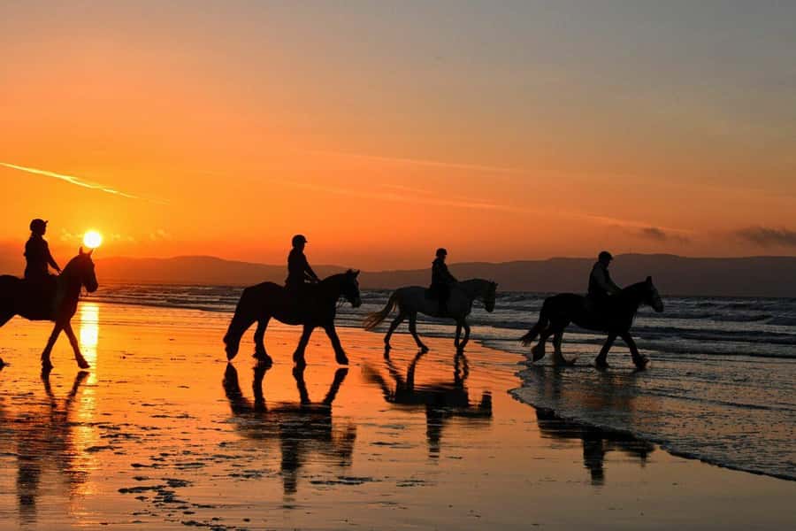 Agadir and Taghazout: 2-Hour Horseback Ride on the Beach - Riding the beach near Ouirer