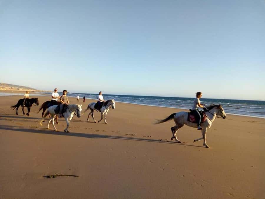 Agadir and Taghazout: 2-Hour Horseback Ride on the Beach - Why sunset makes the ride feel special