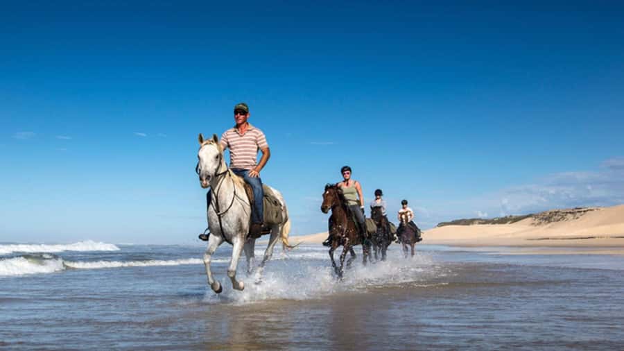 Agadir and Taghazout: 2-Hour Horseback Ride on the Beach - Horse care and the simple ranch setting