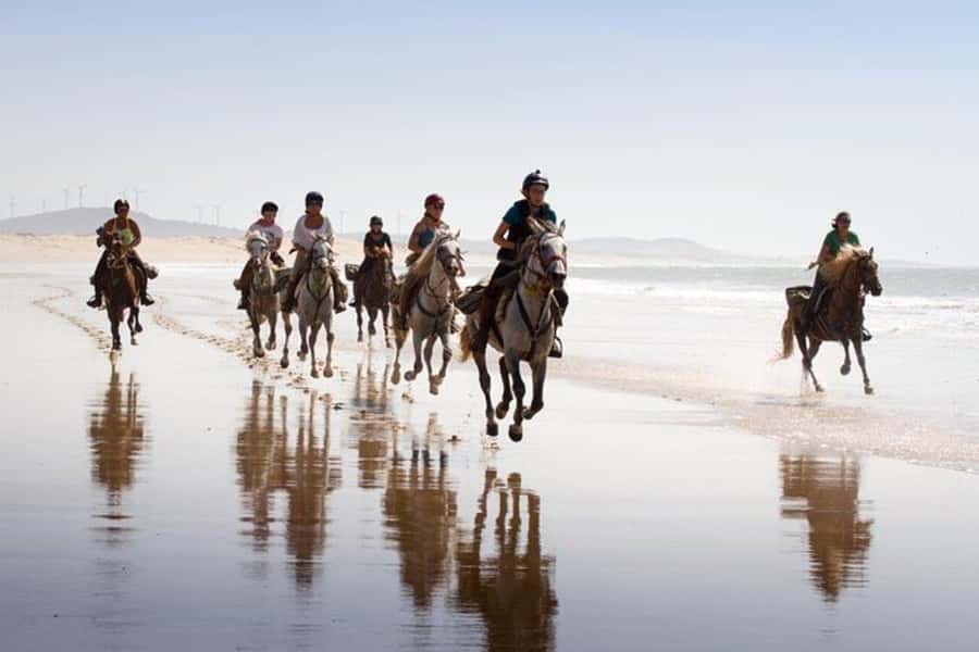 Agadir and Taghazout: 2-Hour Horseback Ride on the Beach - Is $176 per person good value?