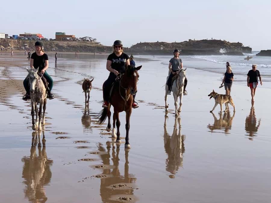 Agadir and Taghazout: 2-Hour Horseback Ride on the Beach - What to bring and how to prepare