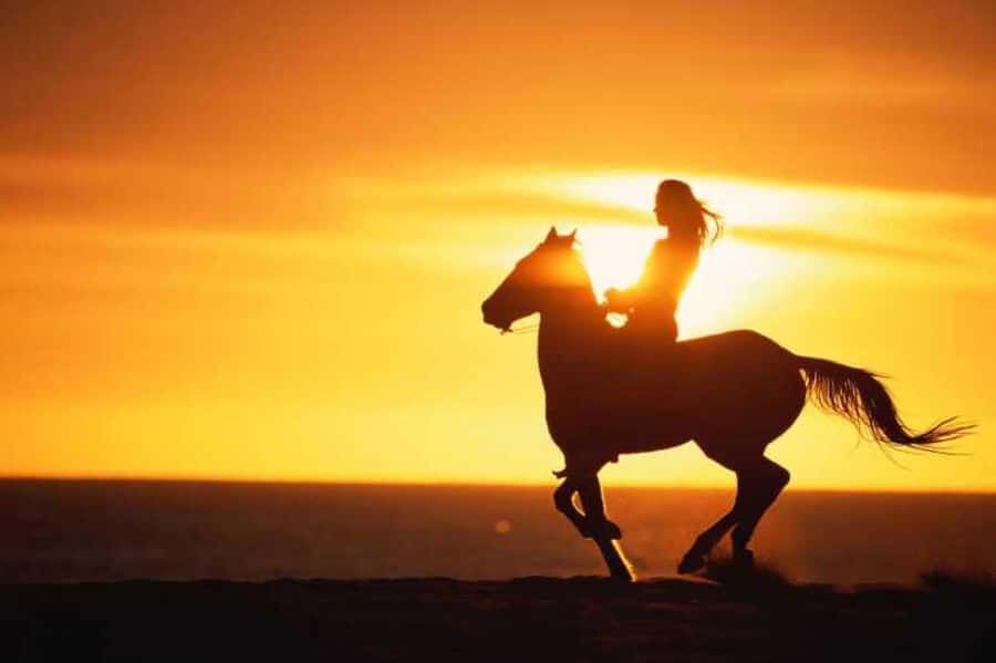 Agadir and Taghazout: 2-Hour Horseback Ride on the Beach - Getting comfortable before the beach