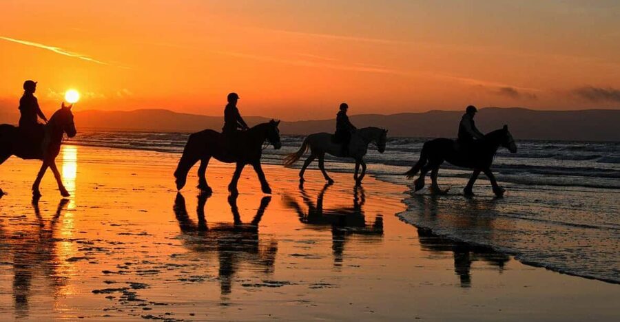 Agadir and Taghazout: Morning Horse Ride on The Beach - Practical tips for a smoother outing