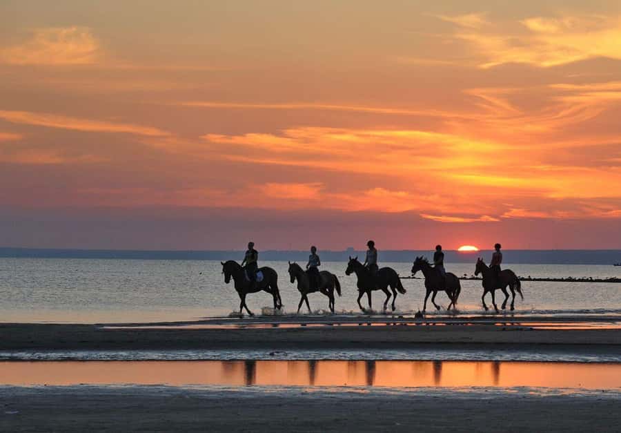 Agadir and Taghazout: Morning Horse Ride on The Beach - Why a morning ride works so well in Agadir