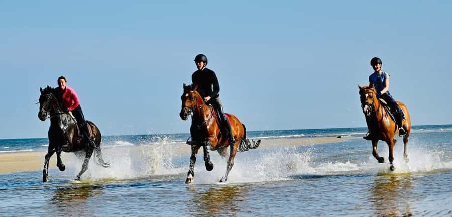 Agadir and Taghazout: Morning Horse Ride on The Beach - The first steps on the sand