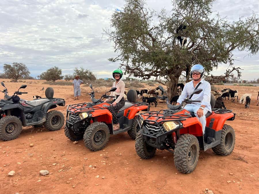 Agadir: ATV Quad Biking and Goats On Argan Trees with Tea - The quick take