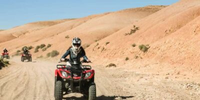 ATV Quad Biking and Goats On Argan Trees with Tea