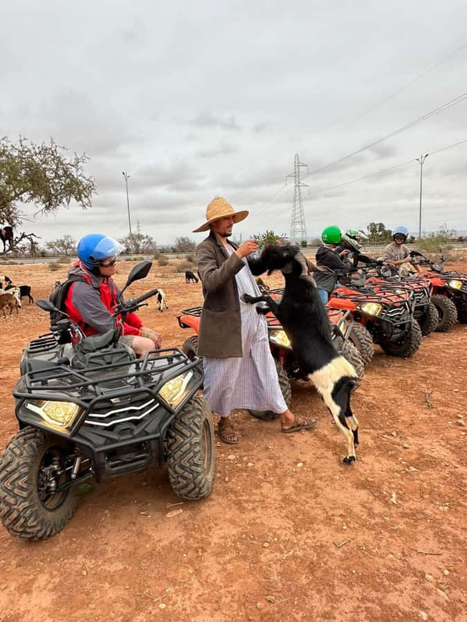 Agadir: ATV Quad Biking and Goats On Argan Trees with Tea - Guides make the biggest difference