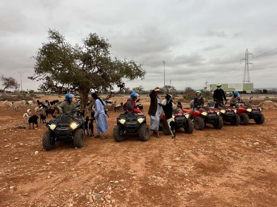 Agadir: ATV Quad Biking and Goats On Argan Trees with Tea - Who should book this outing?