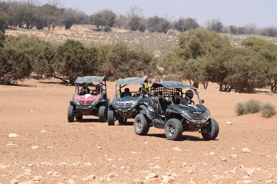 Agadir: Buggy Adventure with Hotel Transfers - At a Glance: What You Get for $35