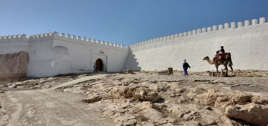Agadir: Cable Car Ticket and Guided City Tour - One hour inside Souk El Had