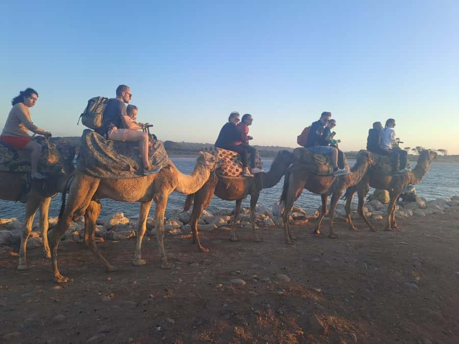 Agadir: Camel or Horse Ride + BBQ & Transfer Sunset Optional - What this Agadir experience is really like