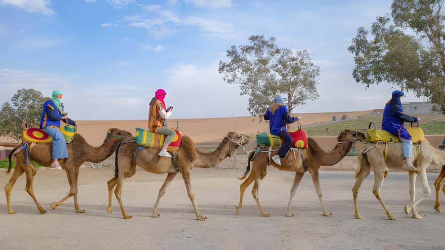 Agadir: Camel Ride Experience With Dinner Option - Key points to know before booking