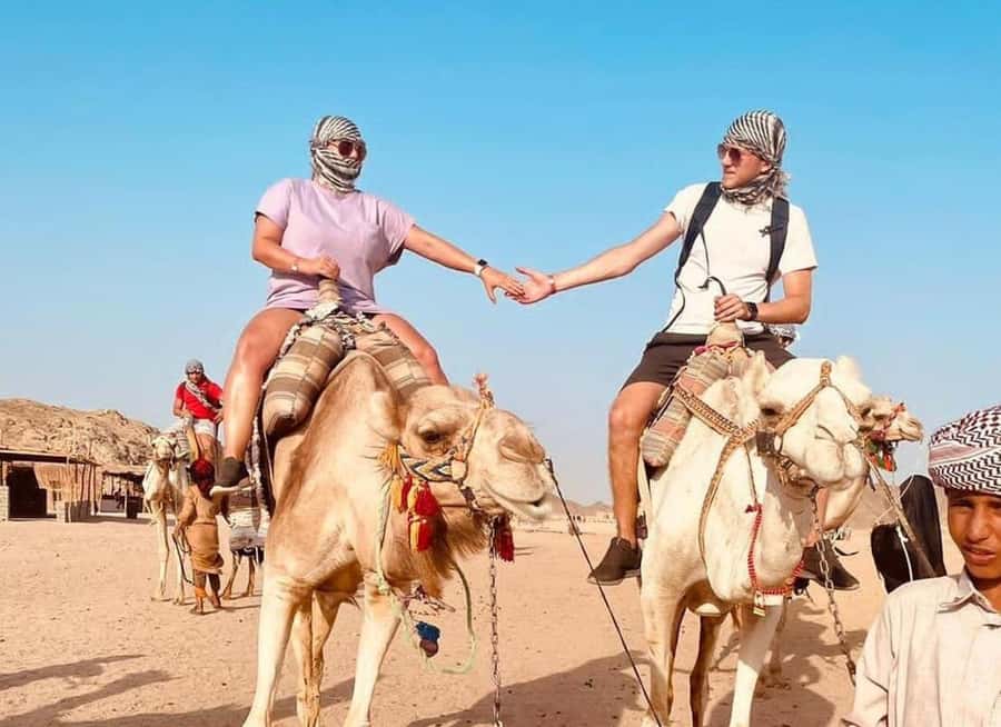 Agadir: Camel Ride Experience With Dinner Option - Riding through eucalyptus trees toward the Souss River