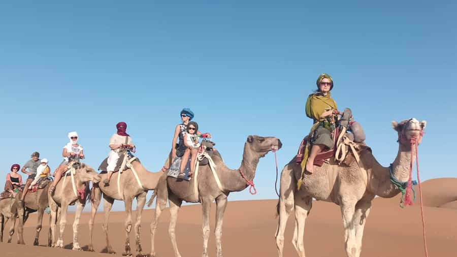 Agadir: Camel Ride Experience With Dinner Option - What the dinner option adds