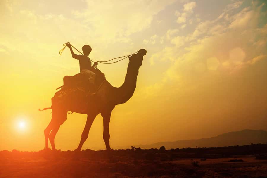 Agadir: Camel Ride With Tea - Key points to know before booking