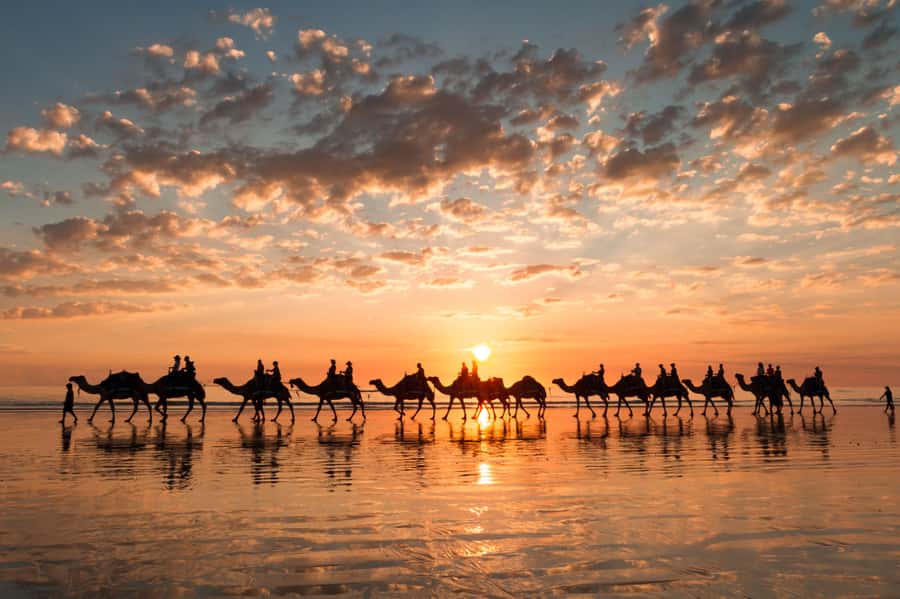 Agadir: Camel Ride With Tea - The Souss River and the views you will actually see