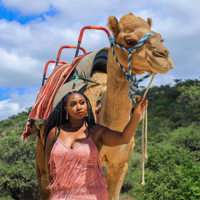 Agadir: Camel Ride With Tea & BBQ Dinner Option - Who will enjoy this Agadir outing